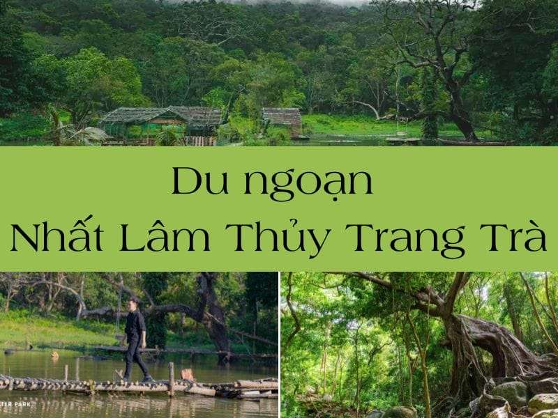 Nhất Lâm Thuỷ Trang Trà