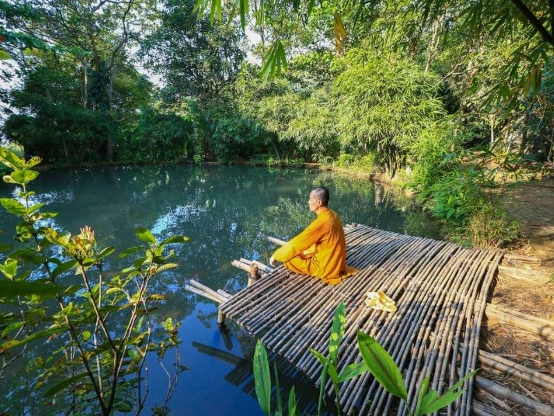 Sơn Trà Tịnh Viên