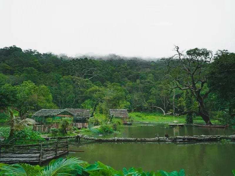 Nhất Lâm Thuỷ Trang Trà