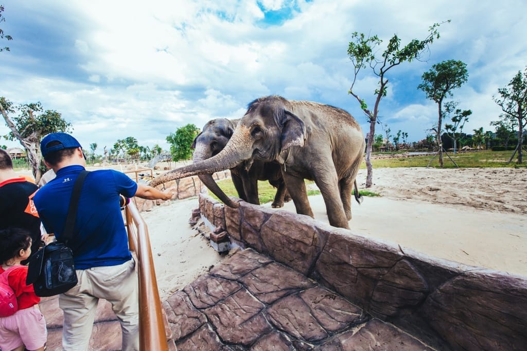 Tham quan thế giới động vật tại River Safari Hội An